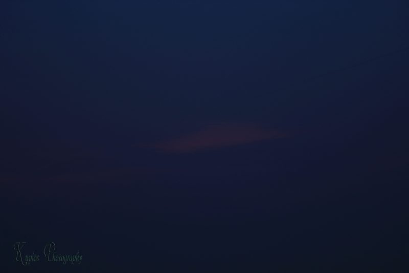 Gallery Array Entity