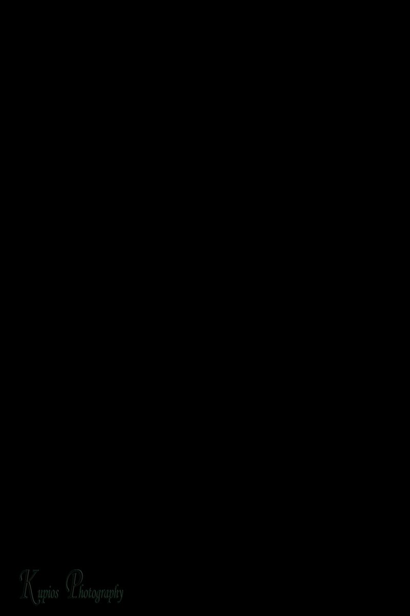 Gallery Array Entity