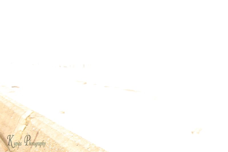 Gallery Array Entity