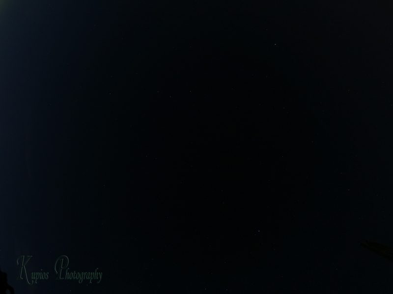 Gallery Array Entity