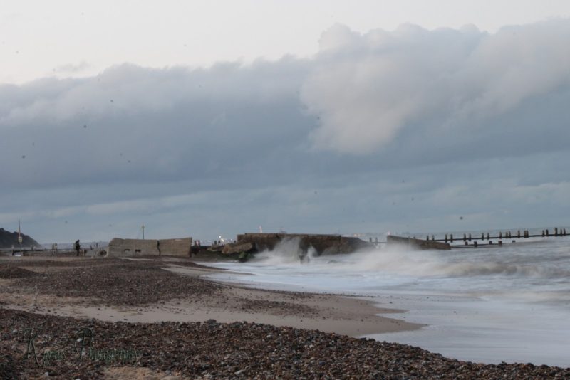Gallery Array Entity