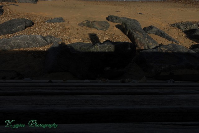 Gallery Array Entity
