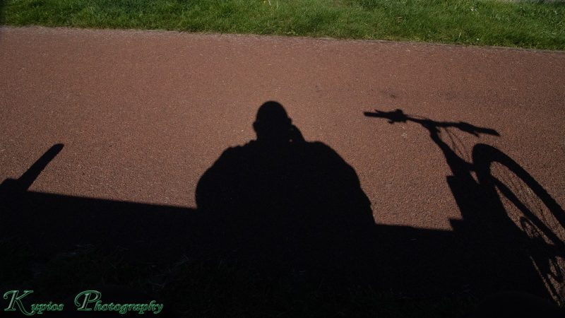 Gallery Array Entity