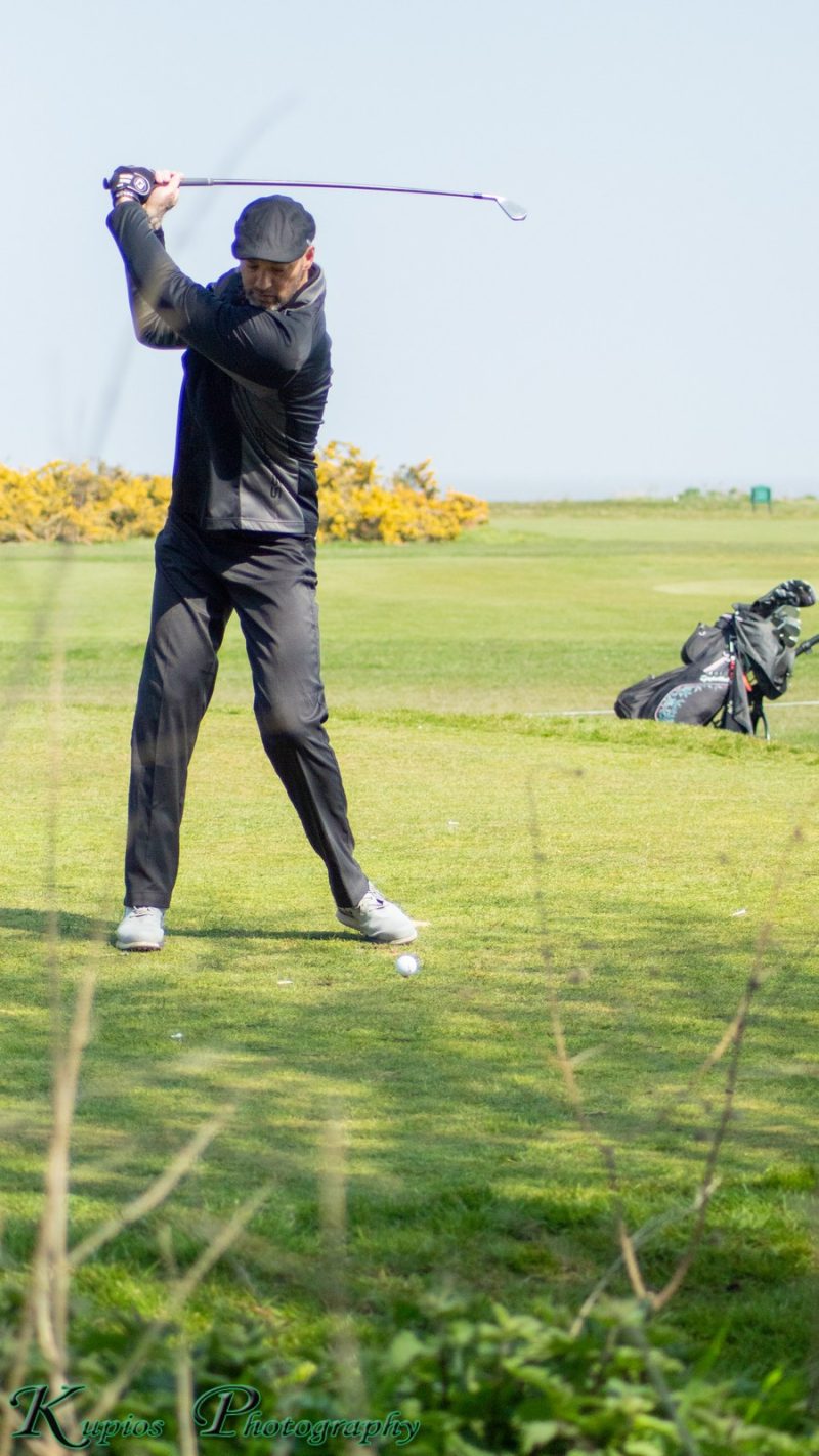 Gallery Array Entity