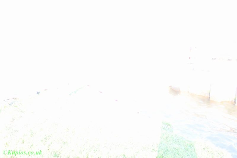 Gallery Array Entity