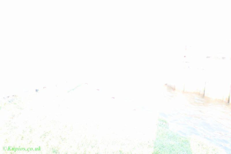 Gallery Array Entity