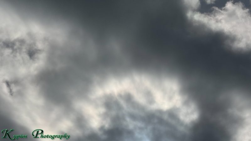Gallery Array Entity