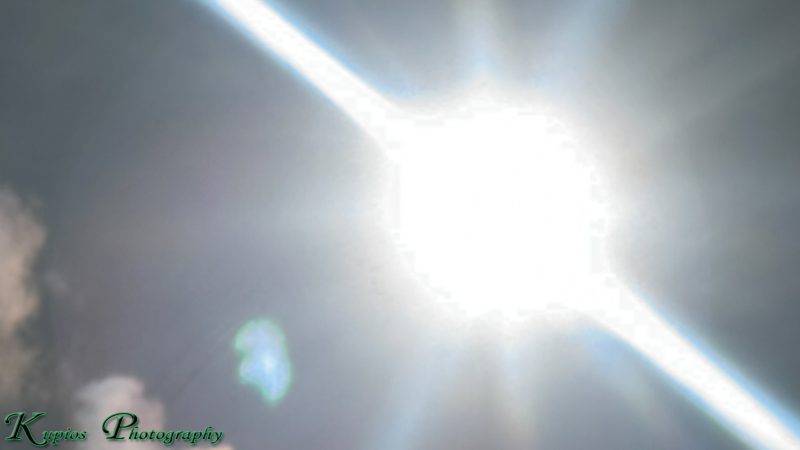 Gallery Array Entity