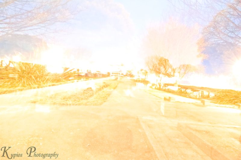 Gallery Array Entity