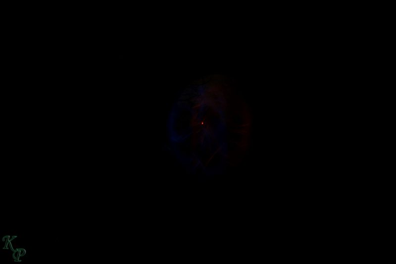 Gallery Array Entity