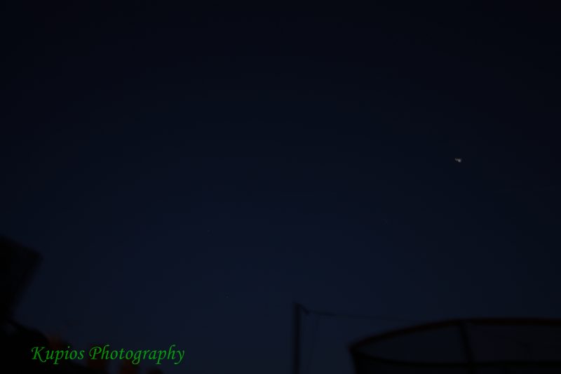 Gallery Array Entity